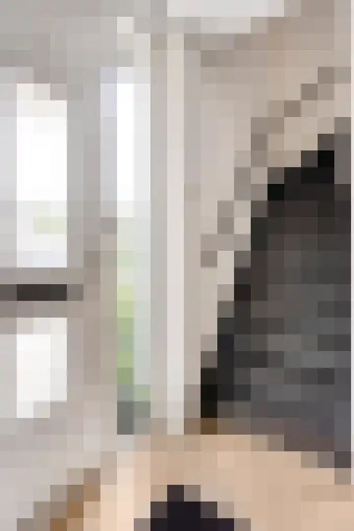 Nijenrode 37 Eindhoven thumbnail 8