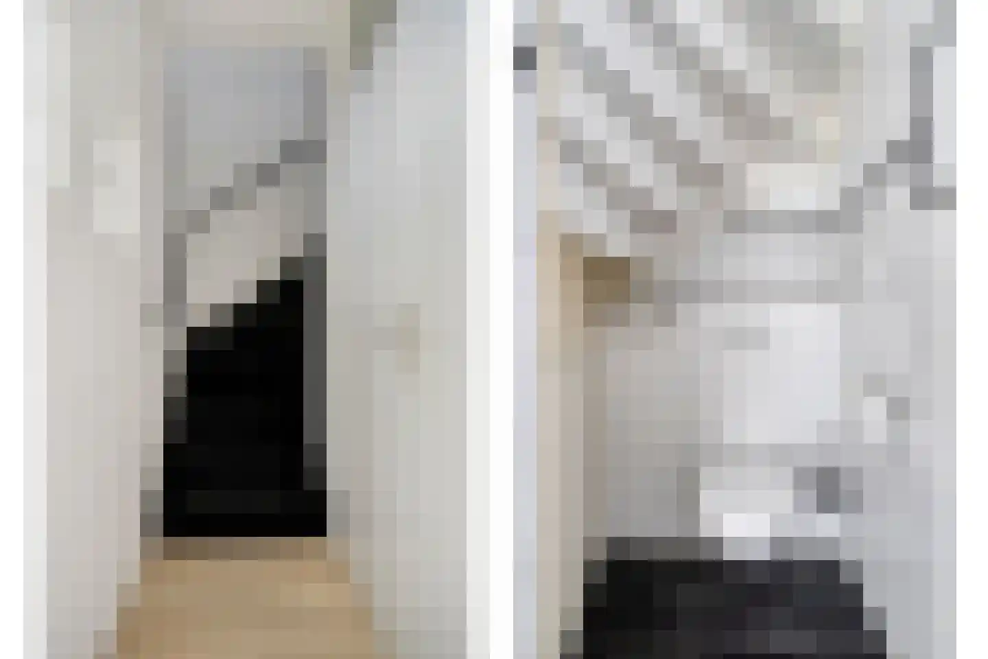 Nijenrode 5 Roden thumbnail 17