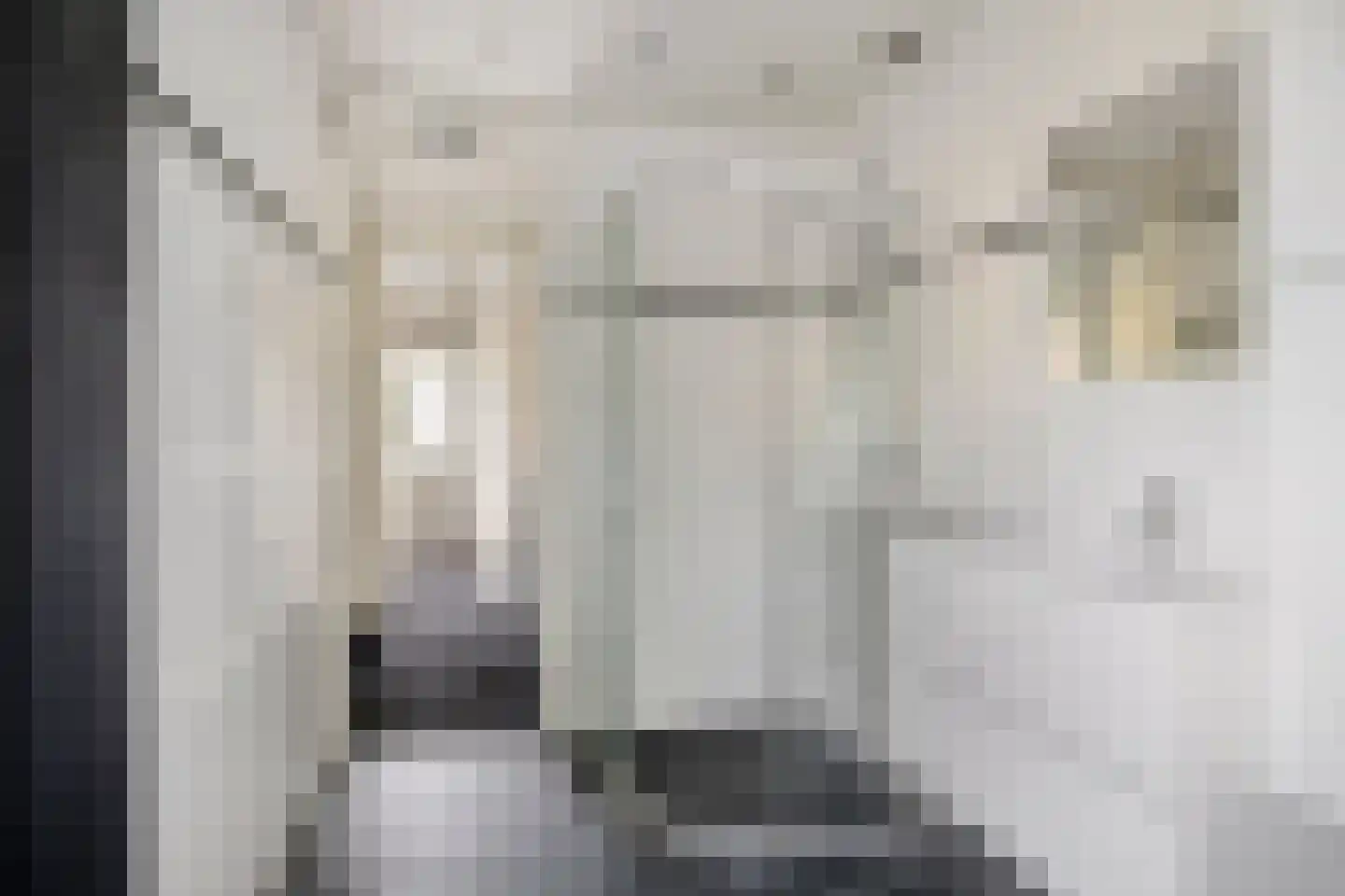 Nijenrode 5 Roden thumbnail 29