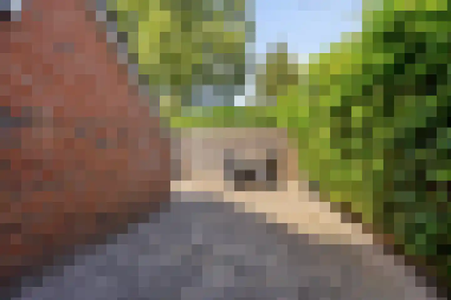 Nijenrode 5 Roden thumbnail 30