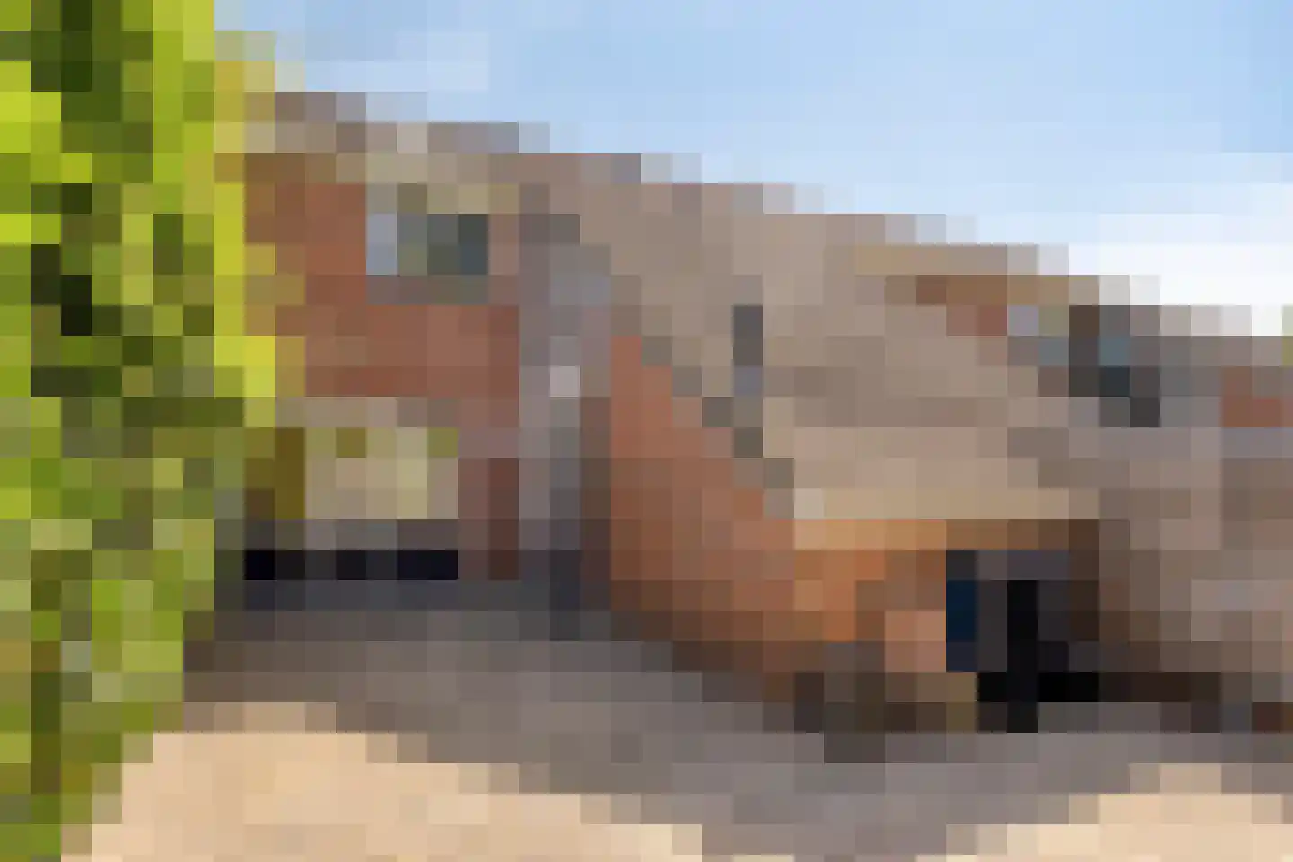 Nijenrode 5 Roden thumbnail 33