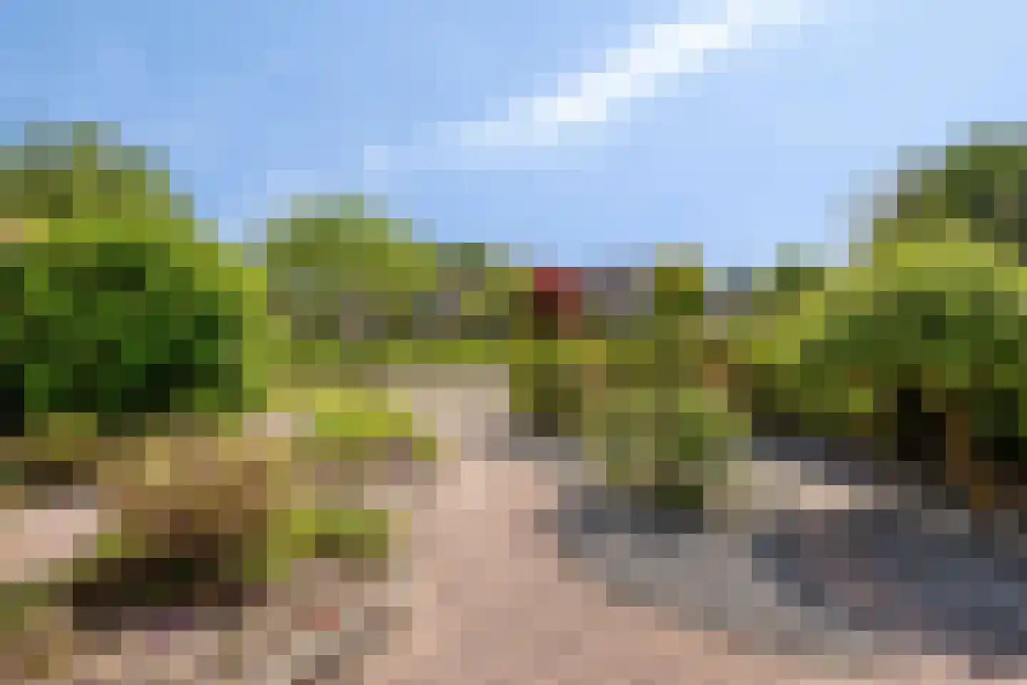 Nijenrode 5 Roden thumbnail 35
