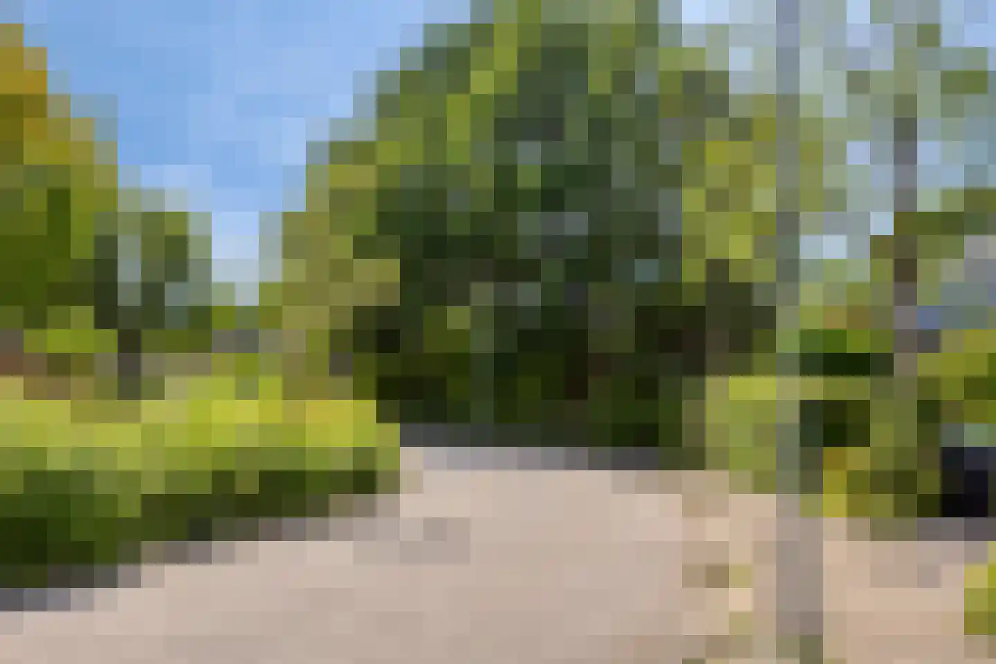 Nijenrode 5 Roden thumbnail 36