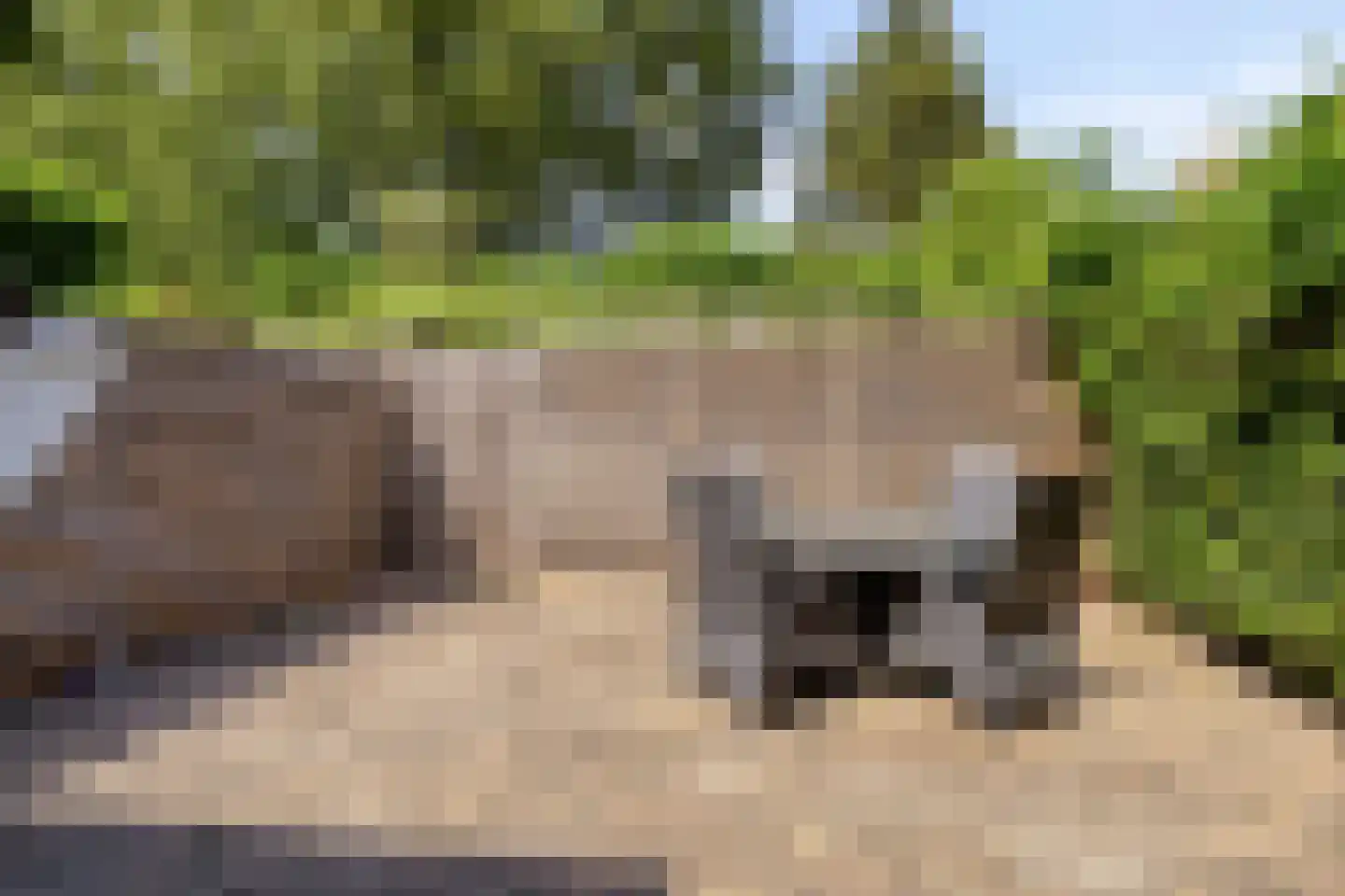 Nijenrode 5 Roden thumbnail 4