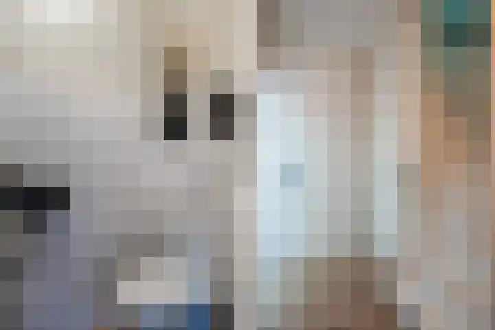 Nijenrode 51 Roden thumbnail 11