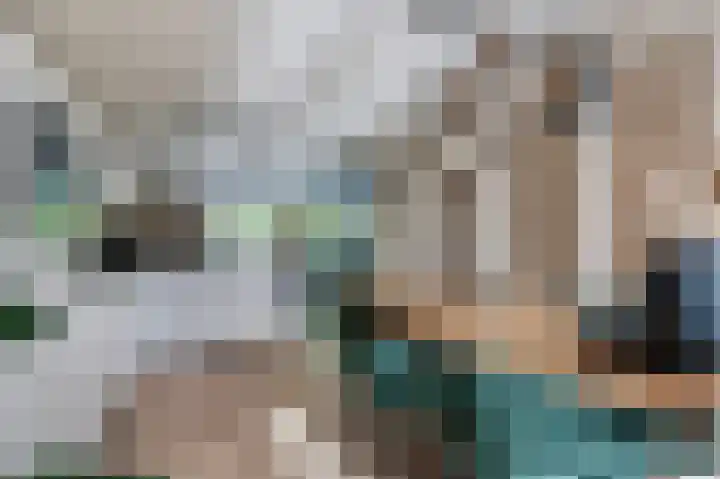 Nijenrode 51 Roden thumbnail 16