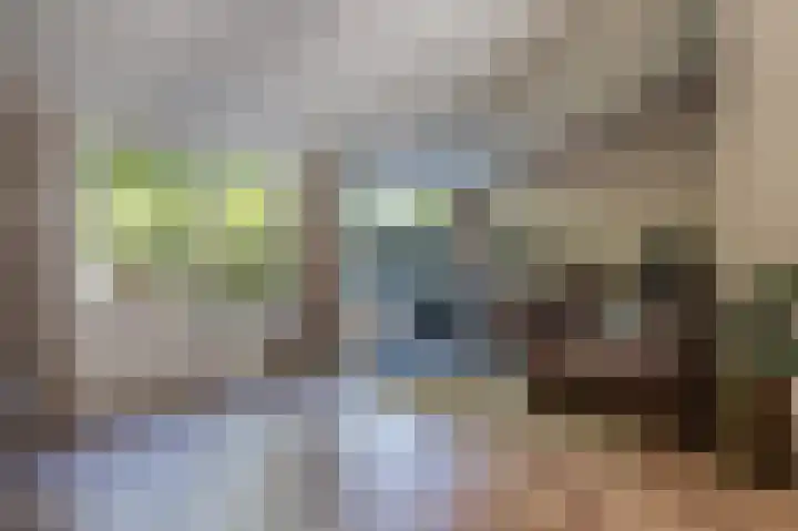 Nijenrode 51 Roden thumbnail 19