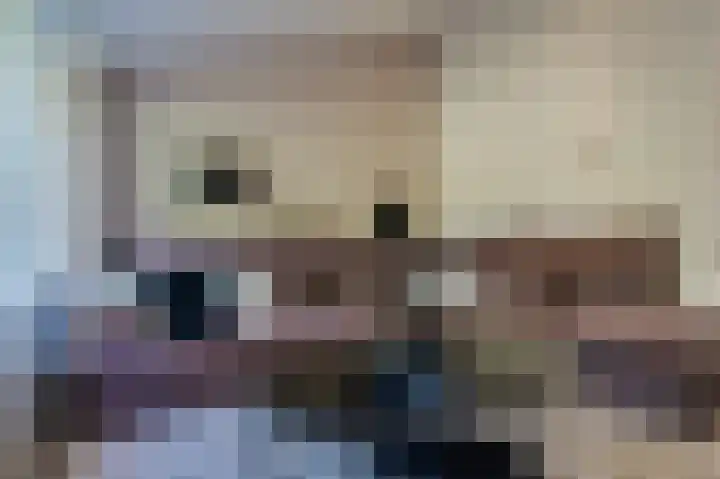 Nijenrode 51 Roden thumbnail 22