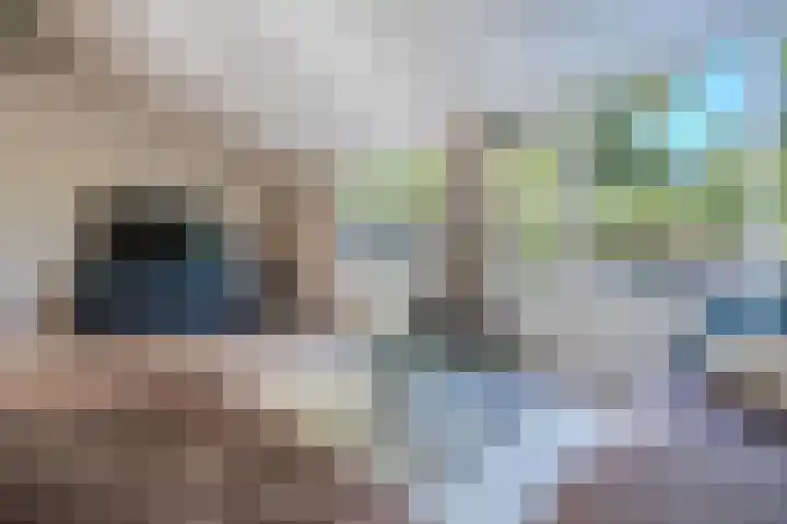 Nijenrode 51 Roden thumbnail 24