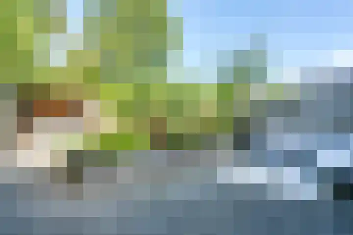 Nijenrode 51 Roden thumbnail 25
