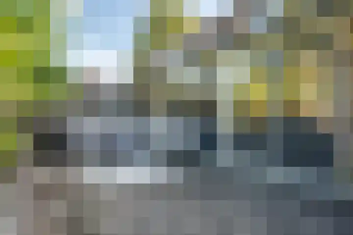 Nijenrode 51 Roden thumbnail 26
