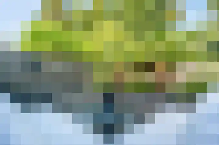 Nijenrode 51 Roden thumbnail 27