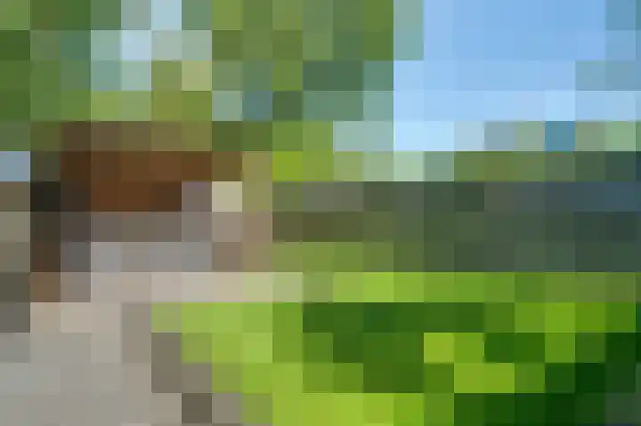 Nijenrode 51 Roden thumbnail 28