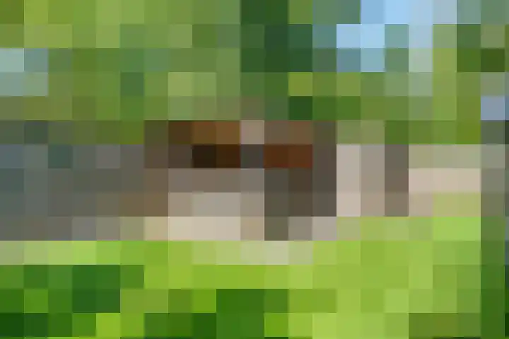 Nijenrode 51 Roden thumbnail 29