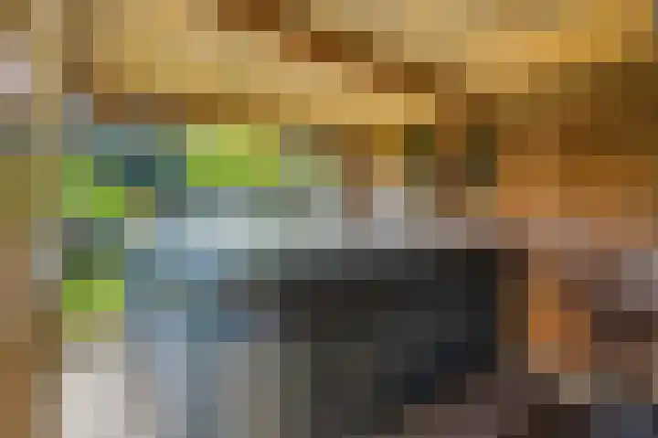 Nijenrode 51 Roden thumbnail 30
