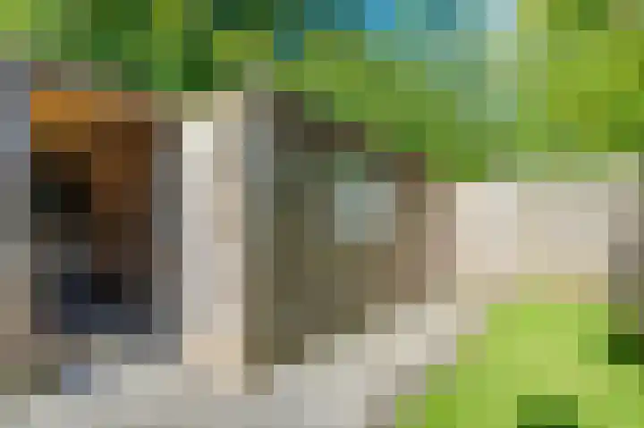 Nijenrode 51 Roden thumbnail 31