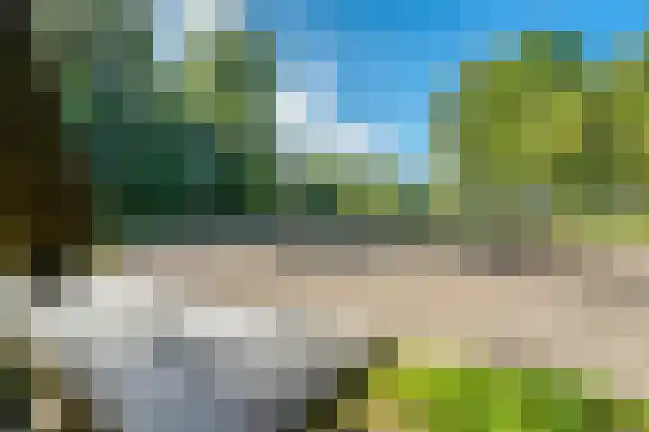 Nijenrode 51 Roden thumbnail 32