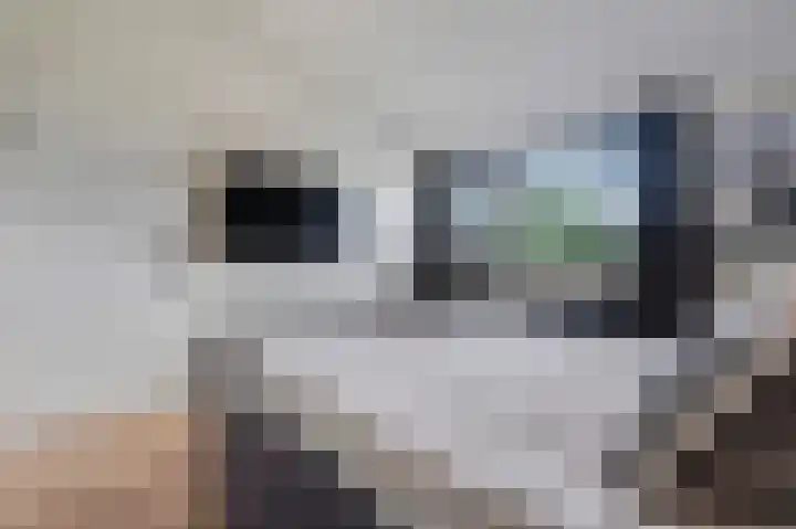 Nijenrode 51 Roden thumbnail 35