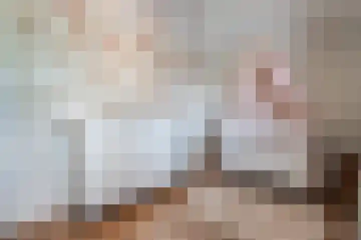 Nijenrode 51 Roden thumbnail 39