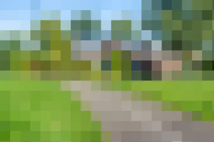 Nijenrode 51 Roden thumbnail 4