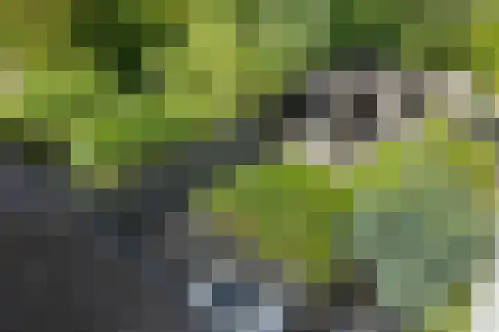 Nijenrode 51 Roden thumbnail 44