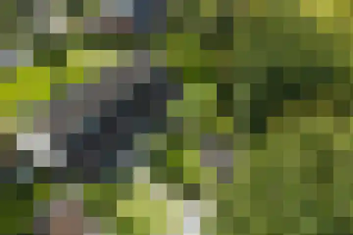 Nijenrode 51 Roden thumbnail 47