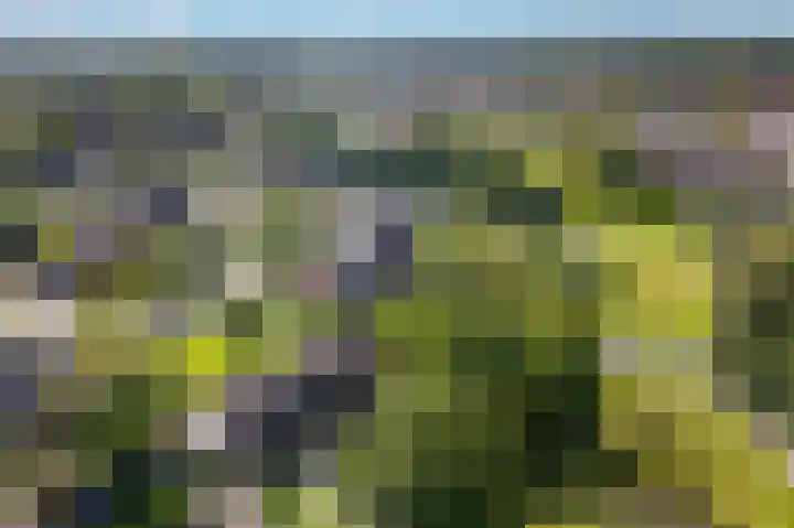 Nijenrode 51 Roden thumbnail 48