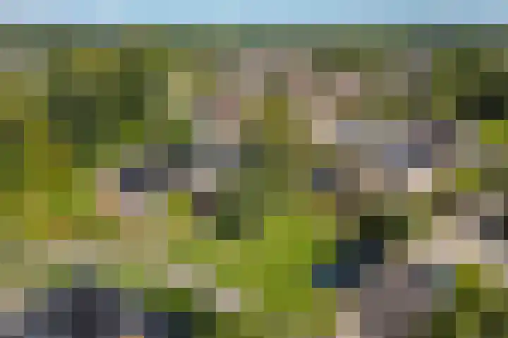 Nijenrode 51 Roden thumbnail 49