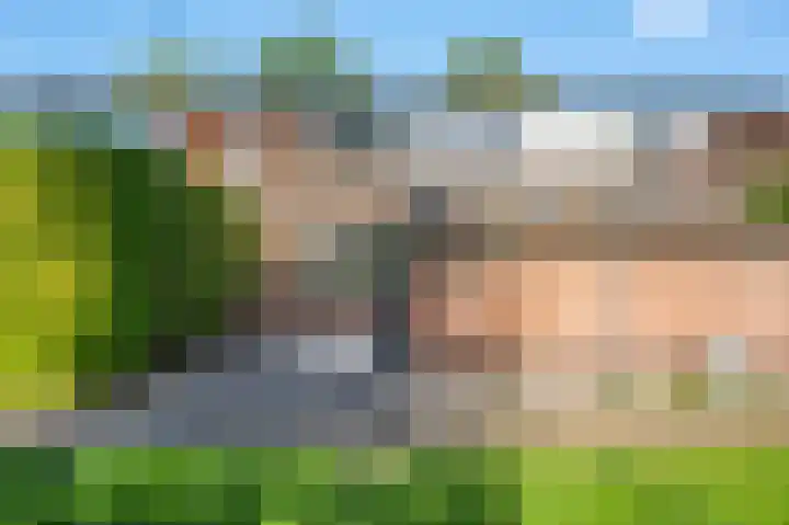 Nijenrode 51 Roden thumbnail 6
