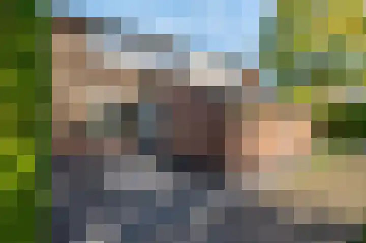 Nijenrode 51 Roden thumbnail 7