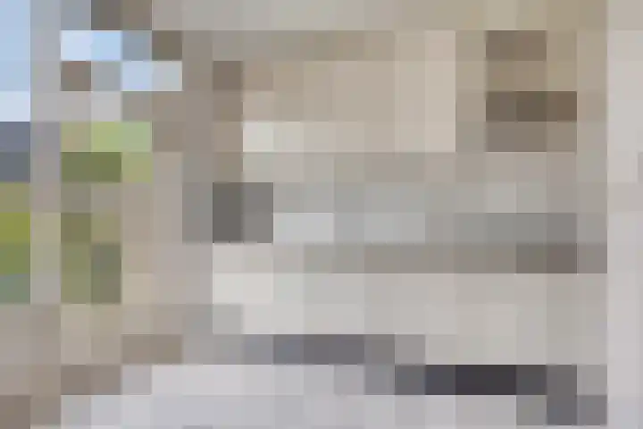 Nijenrode 7 Zwijndrecht thumbnail 13