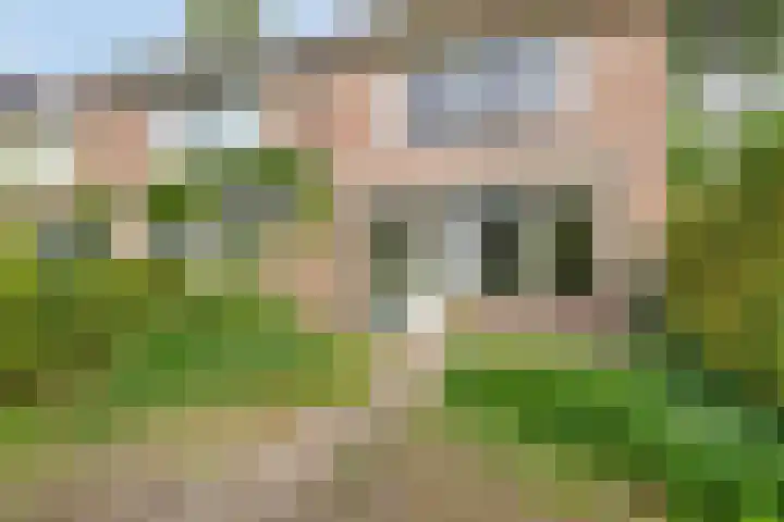 Nijenrode 7 Zwijndrecht thumbnail 30