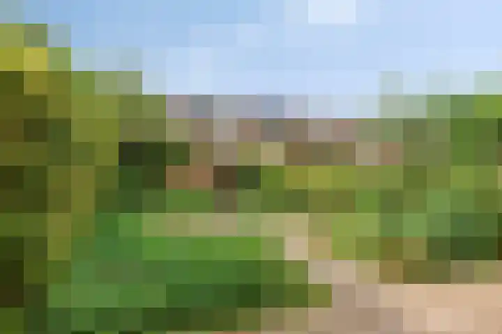 Nijenrode 7 Zwijndrecht thumbnail 31