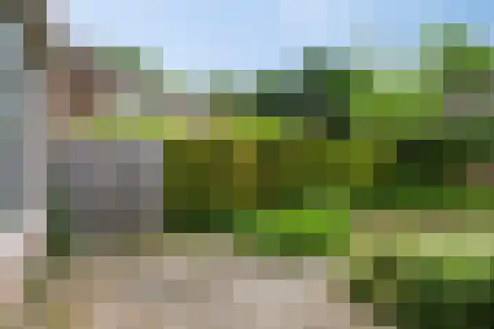 Nijenrode 7 Zwijndrecht thumbnail 32