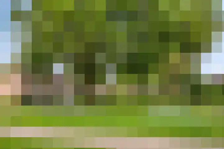 Nijenrode 7 Zwijndrecht thumbnail 33