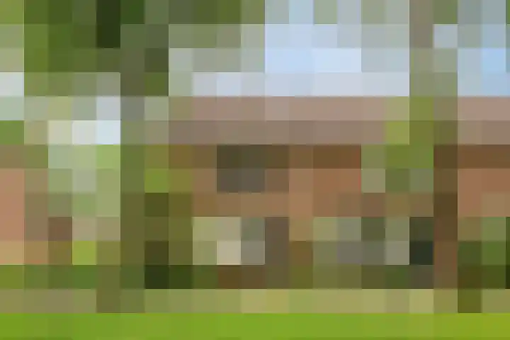 Nijenrode 7 Zwijndrecht thumbnail 34