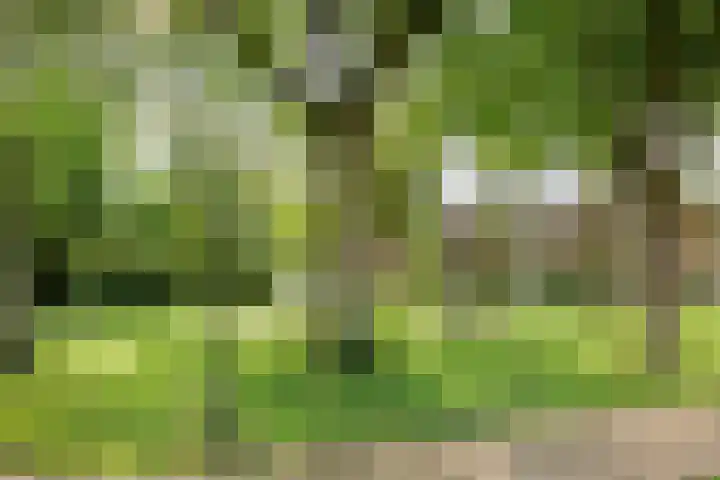 Nijenrode 7 Zwijndrecht thumbnail 4