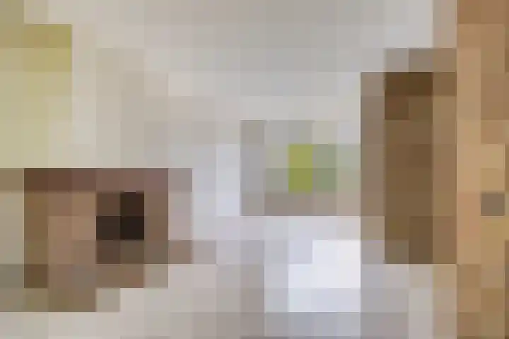 Nijenrode 7 Zwijndrecht thumbnail 7