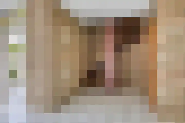 Nijenrode 7 Zwijndrecht thumbnail 9