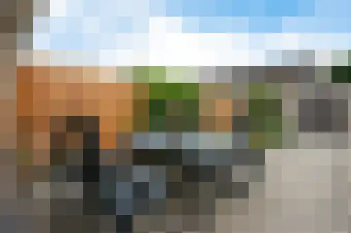Nijenrode 71 Amersfoort thumbnail 28
