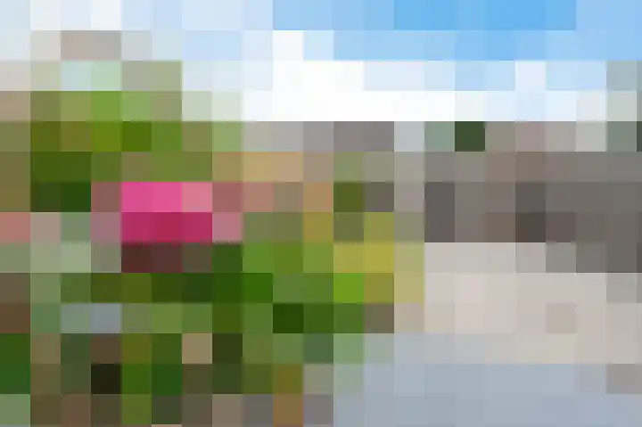 Nijenrode 71 Amersfoort thumbnail 29