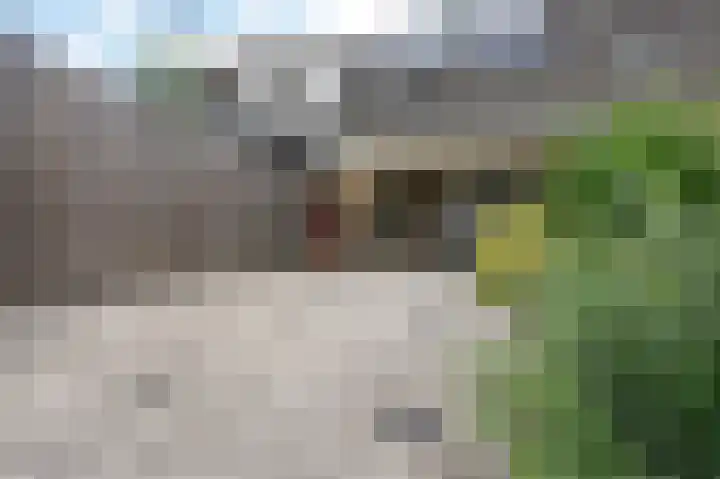 Nijenrode 71 Amersfoort thumbnail 32