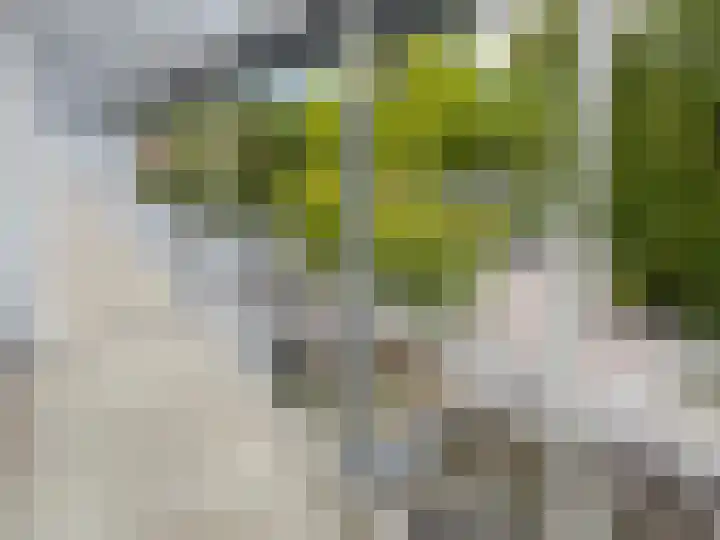 Nijenrode 91 Eindhoven thumbnail 11
