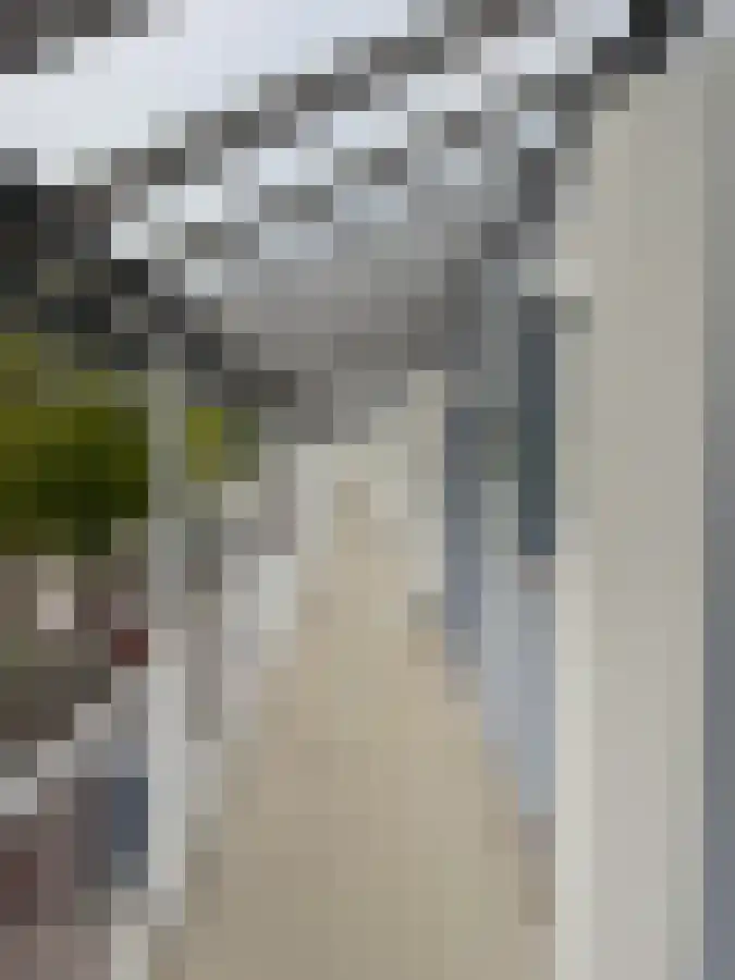 Nijenrode 91 Eindhoven thumbnail 12