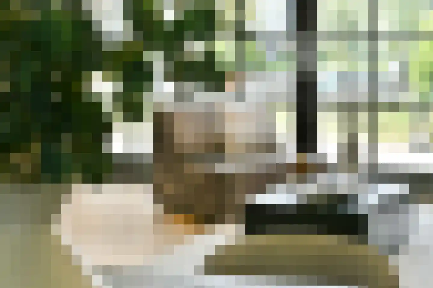 Nijenrodehof 12 Weesp thumbnail 12