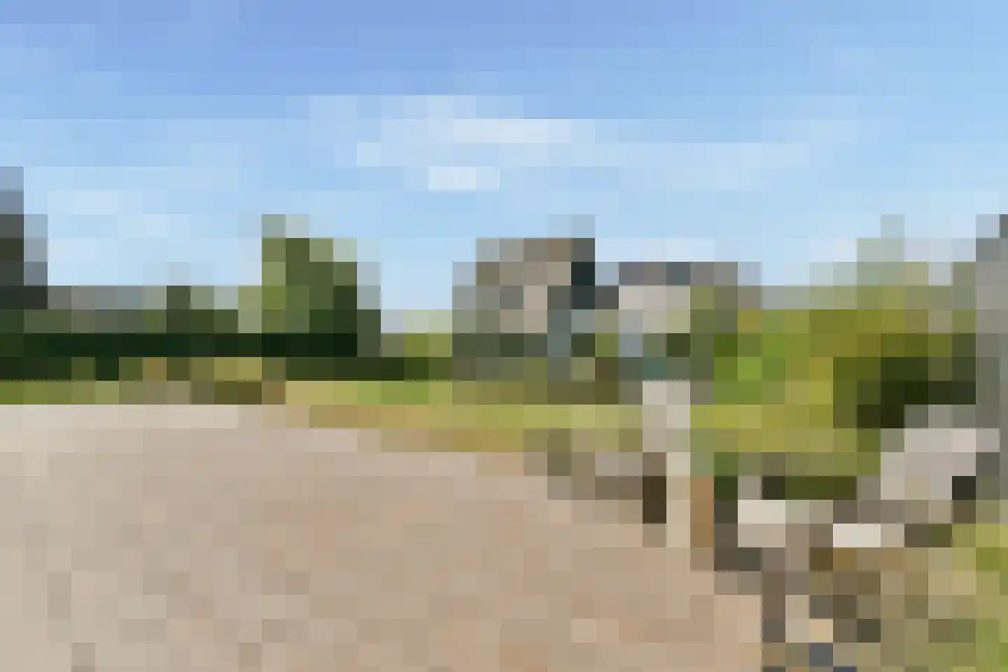 Nijenrodehof 12 Weesp thumbnail 17