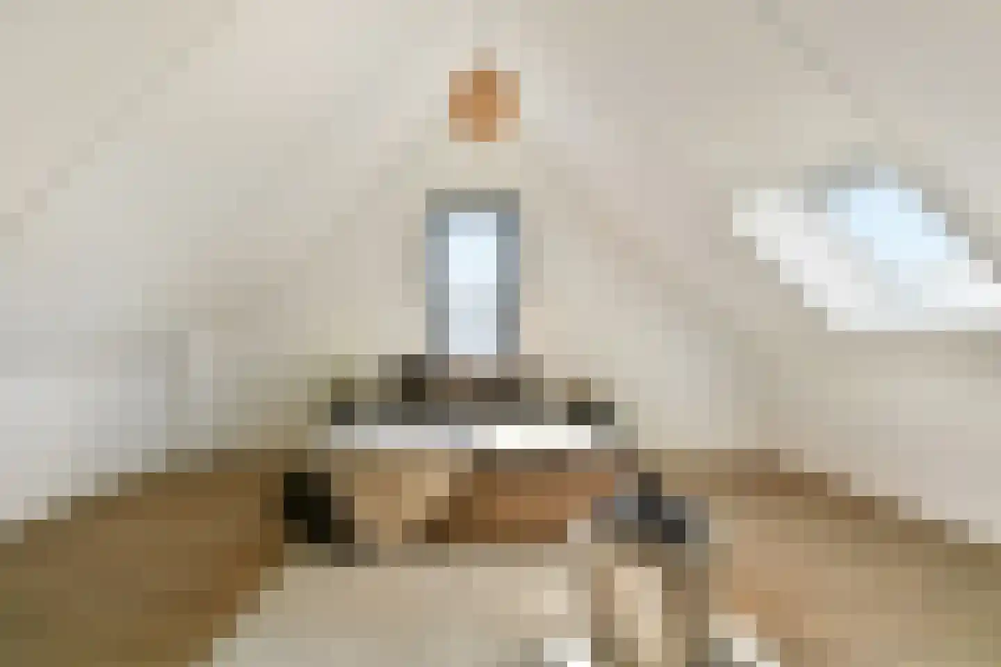 Nijenrodehof 12 Weesp thumbnail 31