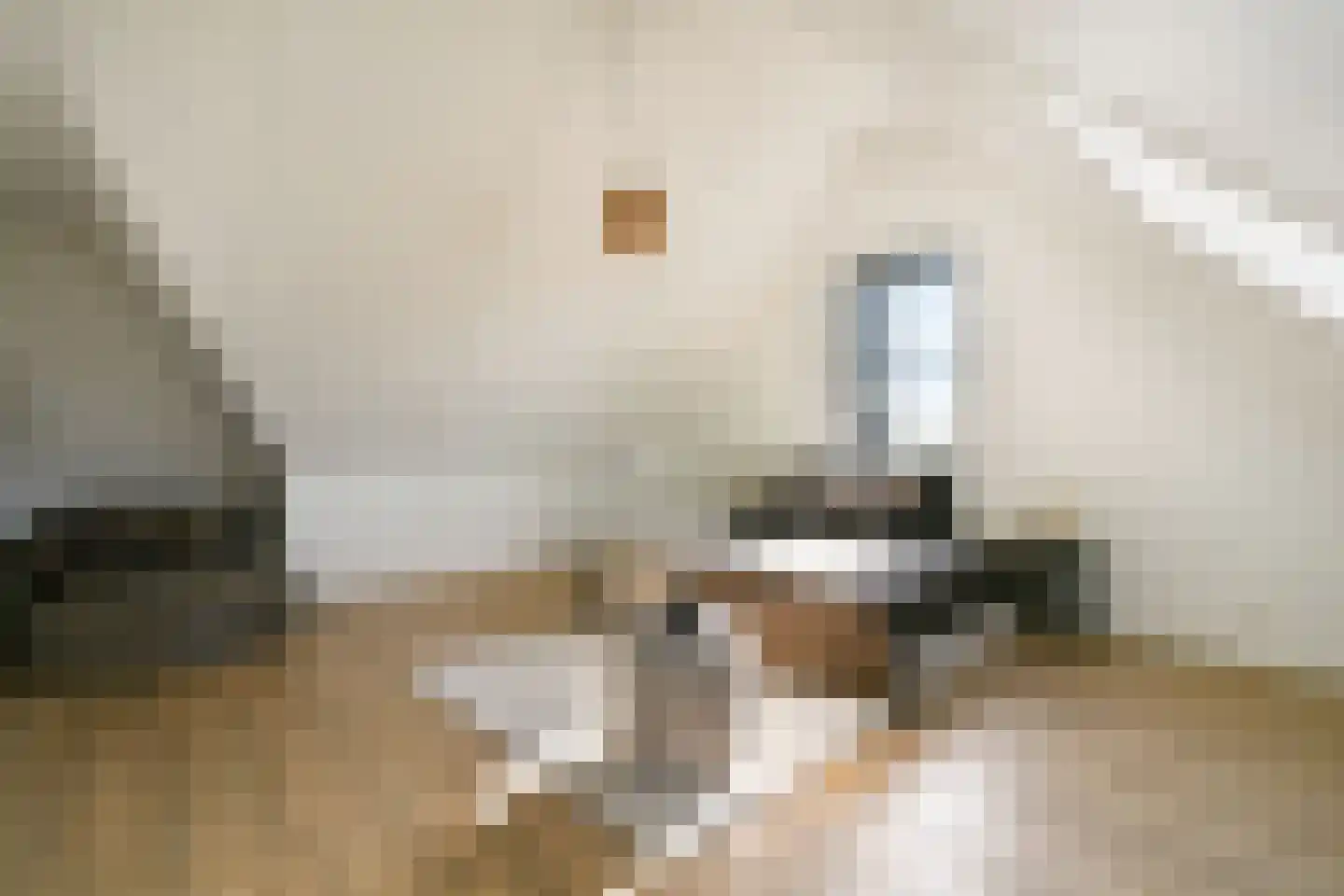 Nijenrodehof 12 Weesp thumbnail 32