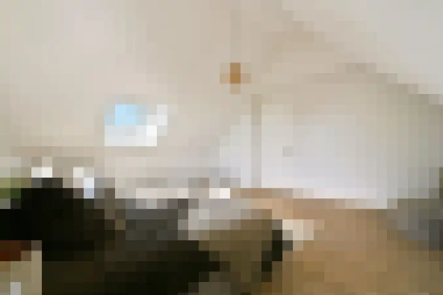 Nijenrodehof 12 Weesp thumbnail 33