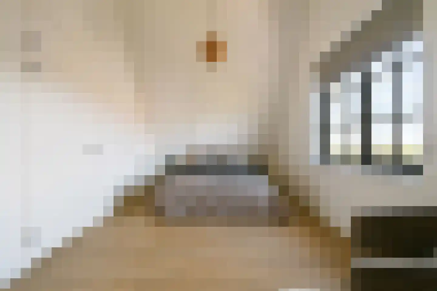 Nijenrodehof 12 Weesp thumbnail 39